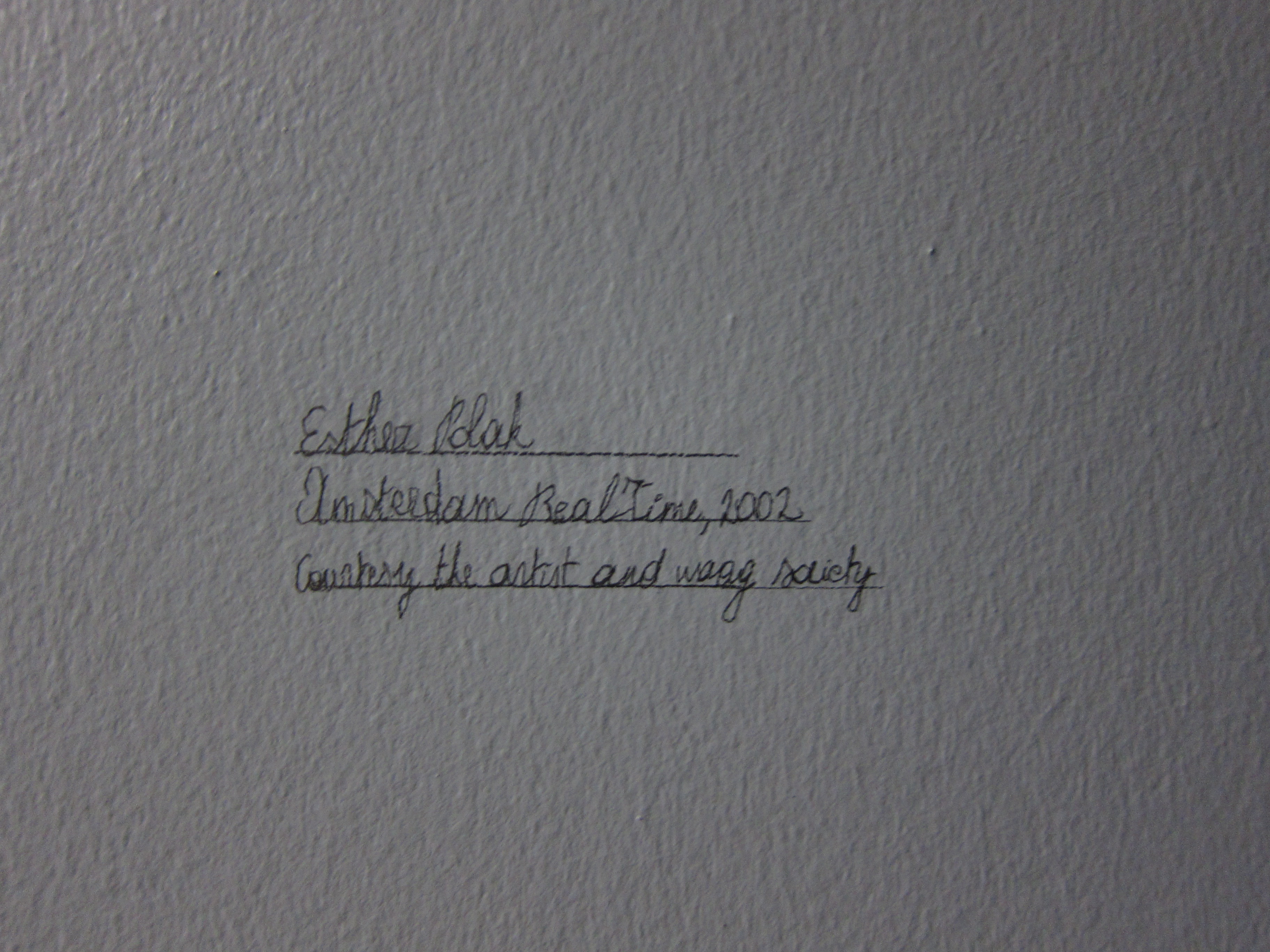 Handwritten museum label on a white wall: 'Esther Polak, Amsterdam RealTime, 2002, courtesy the artist and Waag Society'